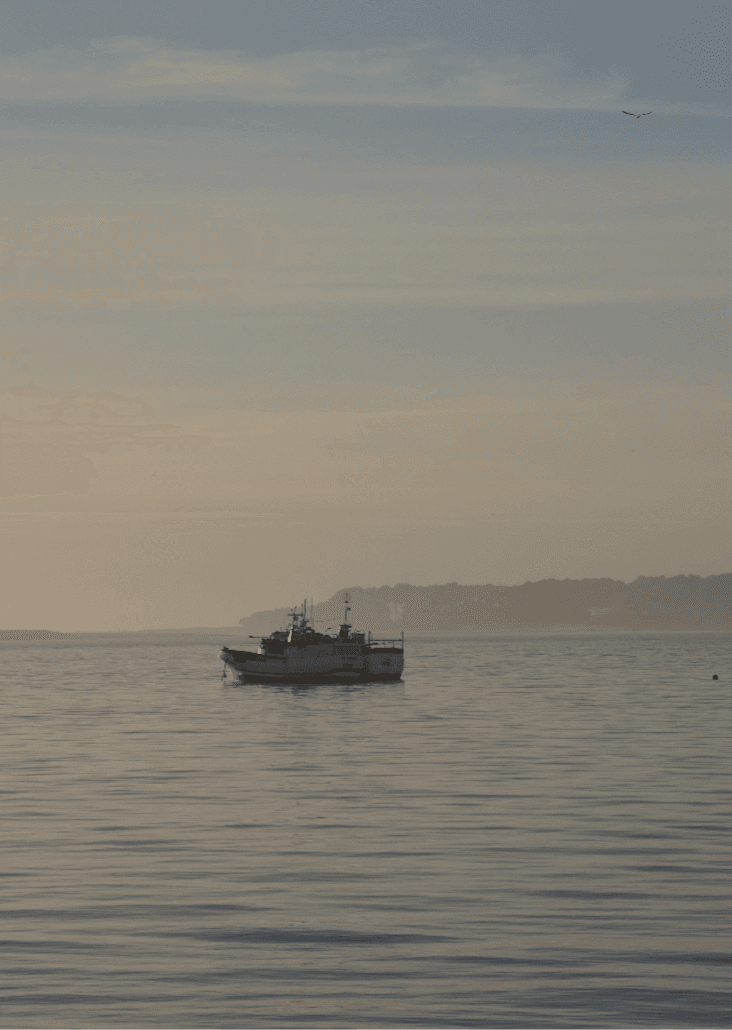 boat stopped in the river